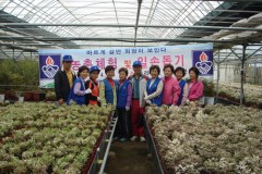 용인 바르게살기 회원들 화훼…