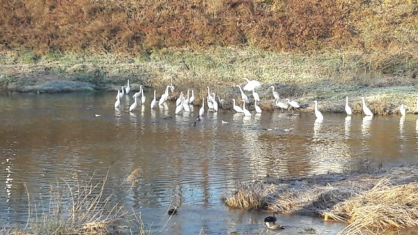 주석 2020-02-25 104802.png