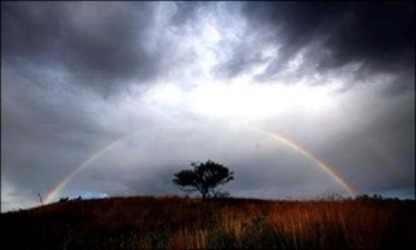 주석 2020-03-19 142339.png