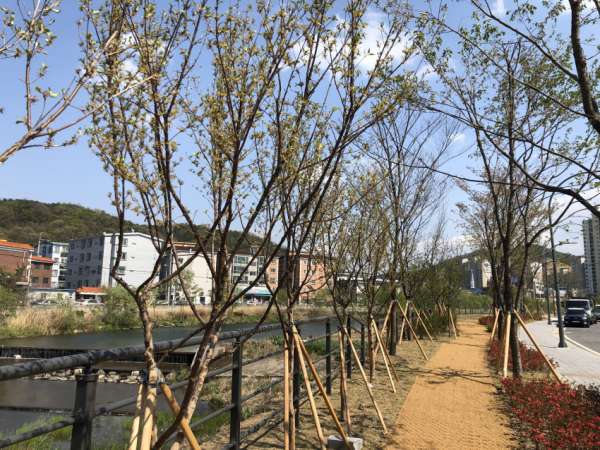 주석 2020-05-04 220222.png