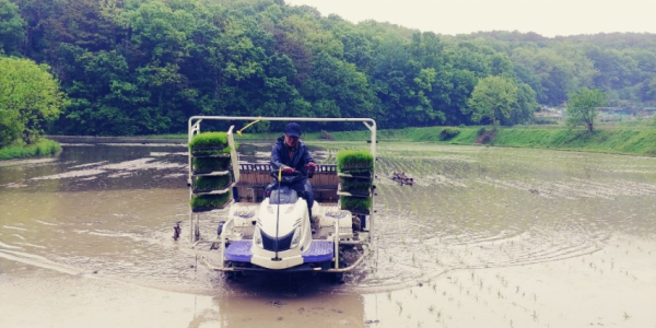 주석 2020-05-15 191055.png