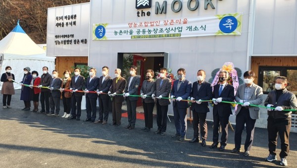 화면 캡처 2020-11-14 160445.jpg