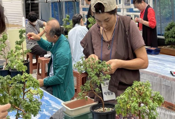5. 지난해 용인특례시 국화원예교육 수강생들이 분재에 열중하고 있는 모습 (1).png