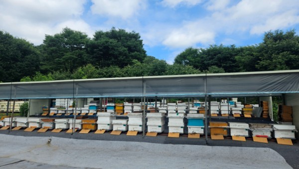 3-1. 용인특례시 양봉 농가 사진 (2).jpg