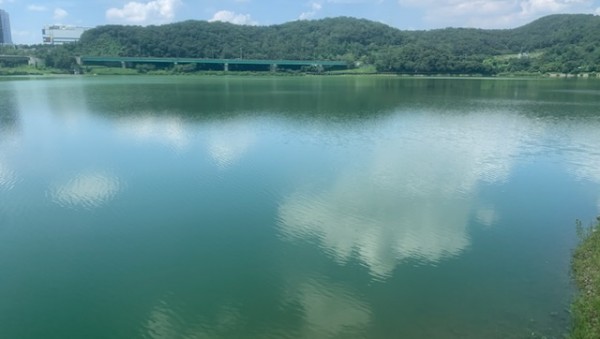 사진 5 기흥저수지 전경.jpg