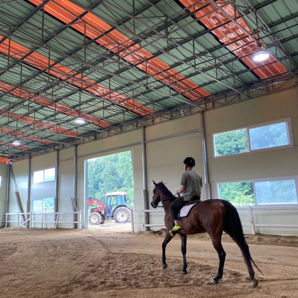 10. 지난해 용인특례시 