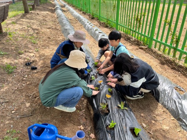 7. 지난해 용인특례시 지역 초등학교에서 진행된 생태텃밭 교육 현장 (1).jpg