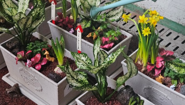 7-2. 용인시농업기술센터는 24일부터 마약중독 입원 환자를 위해 8회에 걸쳐 치유원예교육을 제공한다.jpg