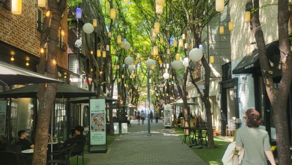 5. 보정동카페거리 전경.jpg