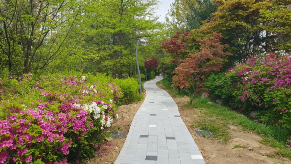 4. 수지구 산책로 정비 모습.jpg