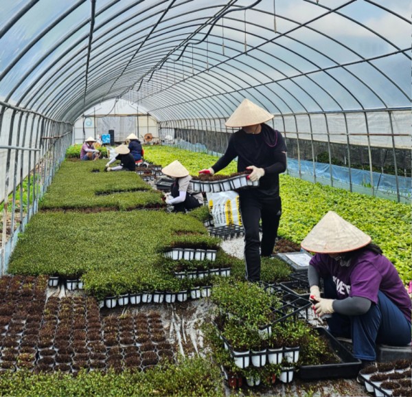 2. 농장 일손을 돕고 있는 외국인주민들.jpg
