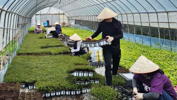 2. 농장 일손을 돕고 있는 외국인주민들.jpg