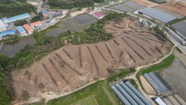 13. 점검 대상인 원삼면 문촌리 산림사업지.jpg