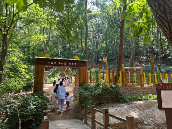 6. 용인특례시가 