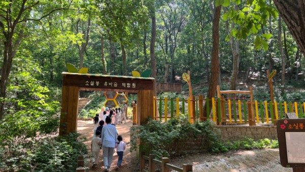 6. 용인특례시가 