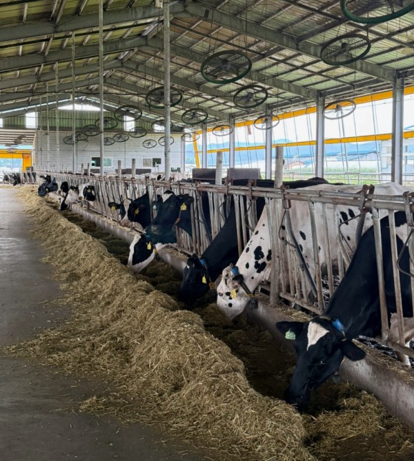 2-2. 용인특례시 축사 사진.jpg