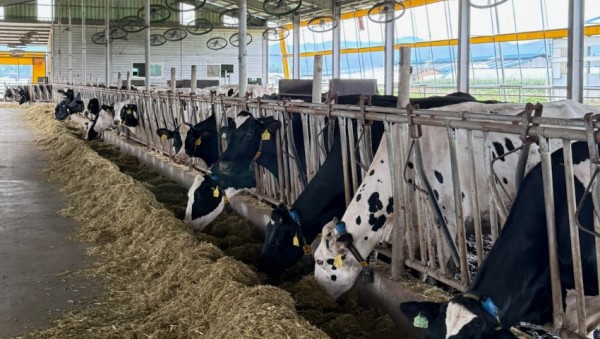 2-2. 용인특례시 축사 사진.jpg