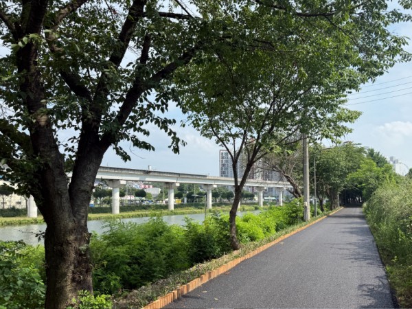 5. 용인특례시는 유림동 일대 경안천 제방 둑마루 구간을 정비했다.jpeg