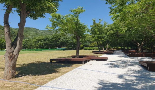 4-3. 용인자연휴양림 잔디광장 정비 완료한 모습.JPG