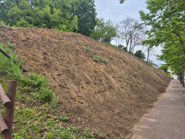 4-2. 지은근린공원 비탈면 공사 전 모습.jpeg