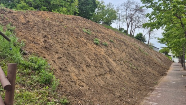 4-2. 지은근린공원 비탈면 공사 전 모습.jpeg