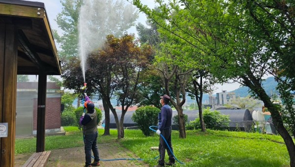 3-1. 해충 방제 작업 모습.jpg