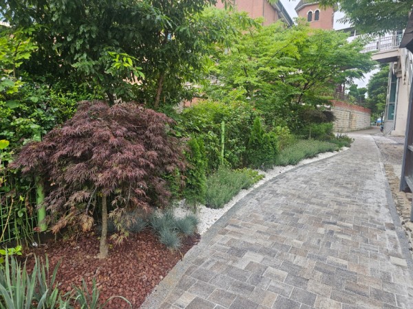 3-2. 산양초 인근 자녀안심 그린숲.jpg