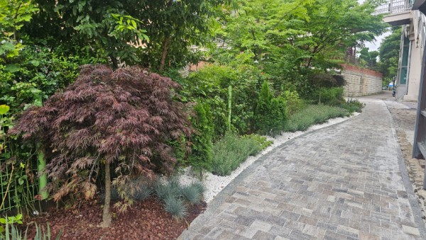 3-2. 산양초 인근 자녀안심 그린숲.jpg