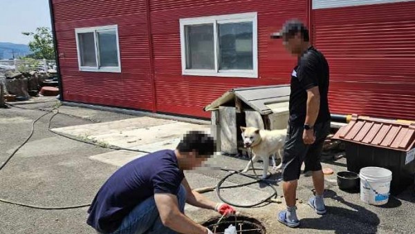 6. 용인특례시가 개인하수처리시설 에어펌프 성능 검증 시범사업을 추진한다..jpeg