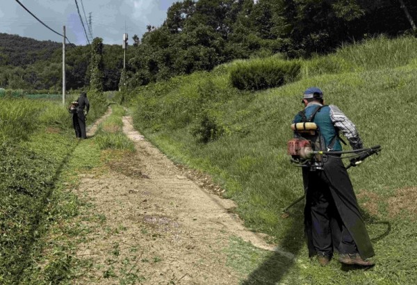 6-1. 처인구는 공설‧공동묘지 14곳에서 제초 작업을 했다. 사진은 창리공동묘지.jpg