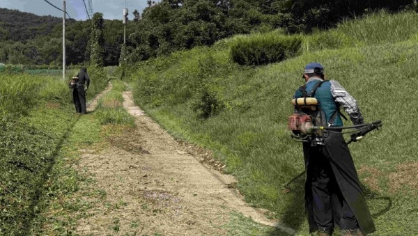 6-1. 처인구는 공설‧공동묘지 14곳에서 제초 작업을 했다. 사진은 창리공동묘지.jpg