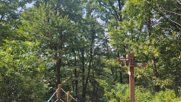 3. 처인구 모현읍 왕산리 숲길 정비를 완료했다.jpg