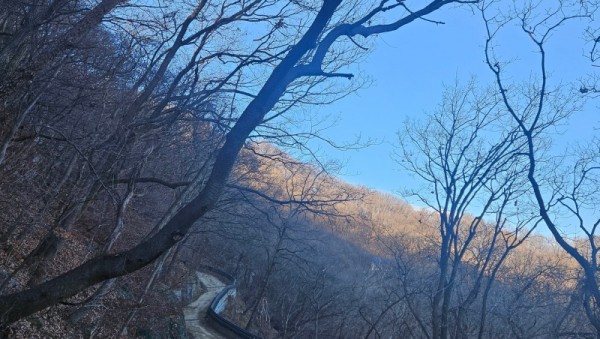 5. 용인특례시, 석성산 숲길 정비사업 마무리.jpg