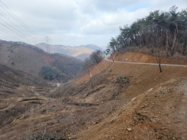 2-2. 용인특례시가 처인구 원삼면 학일리 일원에 조성한 간선임도.jpeg