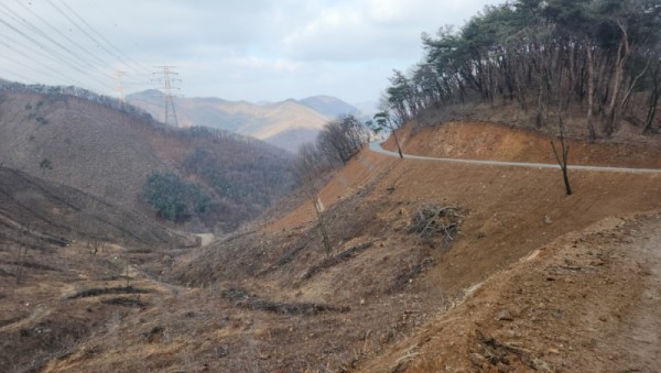 2-2. 용인특례시가 처인구 원삼면 학일리 일원에 조성한 간선임도.jpeg